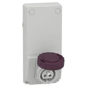   Schneider Electric Kaedra Box - 82076 - Mureva PK (Unika) Panelre szerelhető aljzat, 16A, 230V-24V, IP65