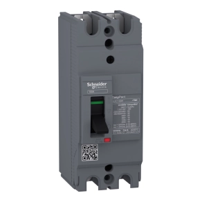   Schneider Electric EasyPact EZC - EZC100H2032 - EZC100H 2P 30kA/400V megszakító 32A
