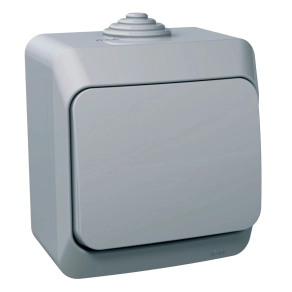  Schneider Electric Cedar Plus - WDE000611 - Egypólusú nyomó, IP44, szürke (101N) 