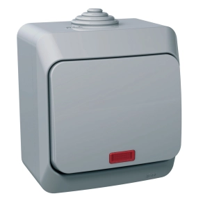   Schneider Electric Cedar Plus - WDE000661 - Váltókapcsoló, jelzőfénnyel, IP44, szürke