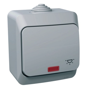   Schneider Electric Cedar Plus - WDE000616 - Egypólusú nyomó lámpajellel, jelzőfénnyel, IP44, szürke