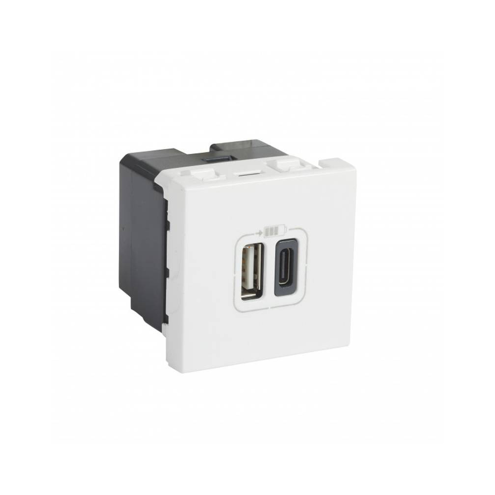 Legrand Progam Mosaic kettős USB kettős USB-A és USB-C - 230 V - 5 V, 2 modul, fehér (77592)