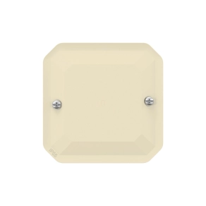 Legrand Plexo 55 vakfedél, elefántcsont - 069847L