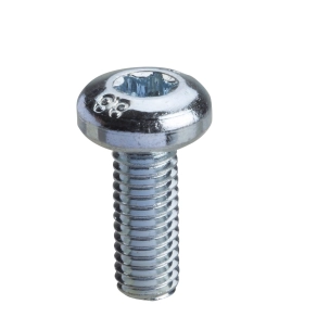 Schneider Electric Spacial SM - NSYST30M6 - Torx csavar T30 (M6x16)