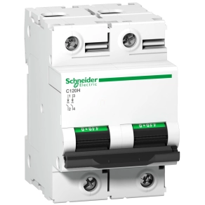   Schneider Electric Acti9 C120H - A9N18503 - kismegszakító, 2P, D, 125A
