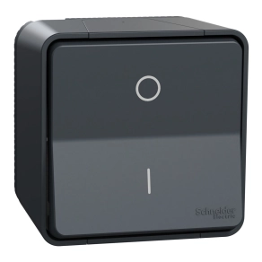   Schneider Electric Mureva Styl - MUR35033 - Kétpólusú kapcsoló, 16 AX, komplett (102), antracitszürke