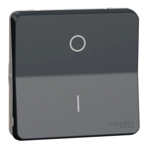   Schneider Electric Mureva Styl - MUR35034 - Kétpólusú kapcsoló, 16 AX (102), antracitszürke
