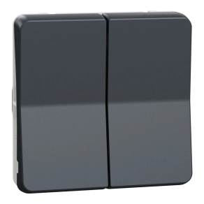   Schneider Electric Mureva Styl - MUR35019 - Kettős váltókapcsoló (106+6), antracitszürke