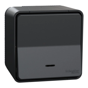   Schneider Electric Mureva Styl - MUR35028 - Egypólusú nyomó, jelzőfénnyel, komplett, antracitszürke