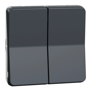   Schneider Electric Mureva Styl - MUR35326 - Kettős nyomó, antracitszürke