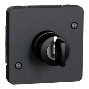   Schneider Electric Mureva Styl - MUR35061 - Kulcsos kapcsoló, 3 állású, antracitszürke