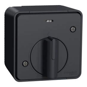   Schneider Electric Mureva Styl - MUR35067 - Mechanikus időkapcsoló, komplett, antracitszürke