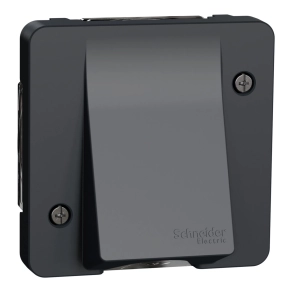   Schneider Electric Mureva Styl - MUR37931 - Kábelkivezető, antracitszürke