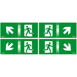   Schneider Electric Exiway Smartled - OVA53165 DiCube piktogrammok búrához