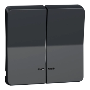   Schneider Electric Mureva Styl - MUR34205 - Kettős billentyű, jelzőfényes, antracitszürke