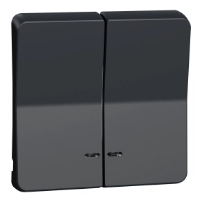 Schneider Electric Mureva Styl - MUR34205 - Kettős billentyű, jelzőfényes, antracitszürke