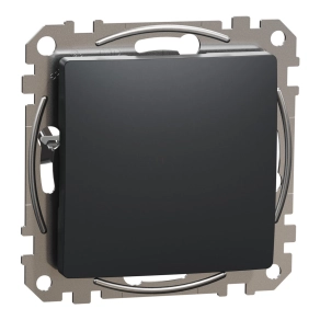   Schneider Electric Sedna Design & Elements - SDD114904 -Vakfedél, antracit