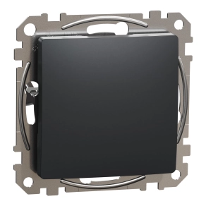 Schneider Electric Sedna Design & Elements - SDD114904 -Vakfedél, antracit