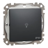 Schneider Electric Sedna Design & Elements - SDD214132 -Egypólusú nyomó lámpajellel, rugós bekötés, 10A, IP44, antracit