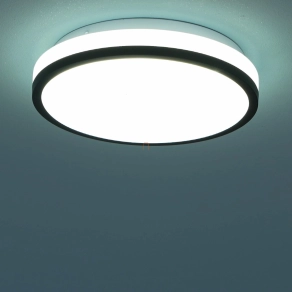   Bontott csomagolású Mennyezeti LED lámpa, 22 cm, hidegfehér fényű - Nigara Globo 3456-015