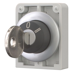 Eaton kulcsos gomb, 30mm, lapos, 2áll., m30c-fws3-187069