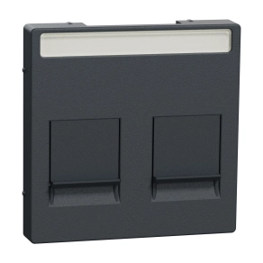 Schneider Electric Merten System-M MEG4564-0414 fedlap 2xRJ45 moduláris betétekhez, feliratozható, antracit