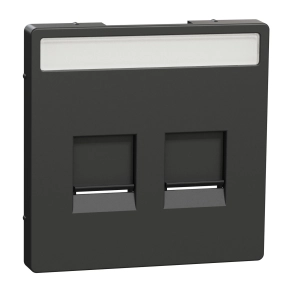 Schneider Electric Merten System Design - MEG4564-6034 - Fedlap 2xRJ45 moduláris betétekhez, feliratozható, antracit