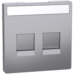   Schneider Electric Merten System Design - MEG4564-6036 - Fedlap 2xRJ45 moduláris betétekhez, feliratozható, acél