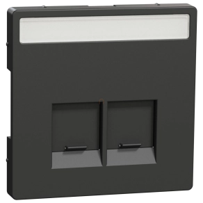   Schneider Electric Merten System Design - MEG4574-6034 - Fedlap 2xRJ45 aljzathoz, feliratozható, antracit