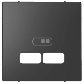 Schneider Electric Merten System Design - MEG4367-6034 - Fedlap USB töltőkhöz, antracit
