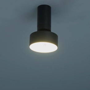 Mennyezeti LED lámpa, 11 cm - Ovidia Rábalux 71321