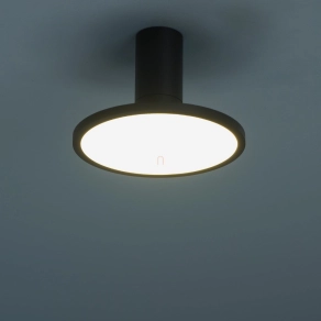 Mennyezeti LED lámpa, 20 cm - Ovidia Rábalux 71323