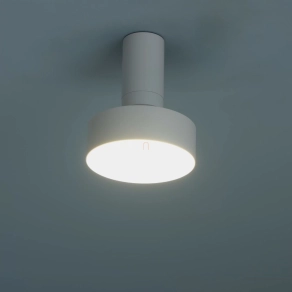 Mennyezeti LED lámpa, 14 cm - Ovidia Rábalux 71327