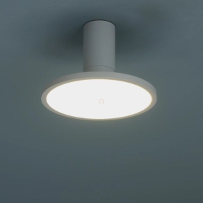 Mennyezeti LED lámpa, 20 cm - Ovidia Rábalux 71328