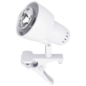   Csíptetős spot lámpa, 10 cm - Clip Rábalux 4356, 1xE14 foglalattal
