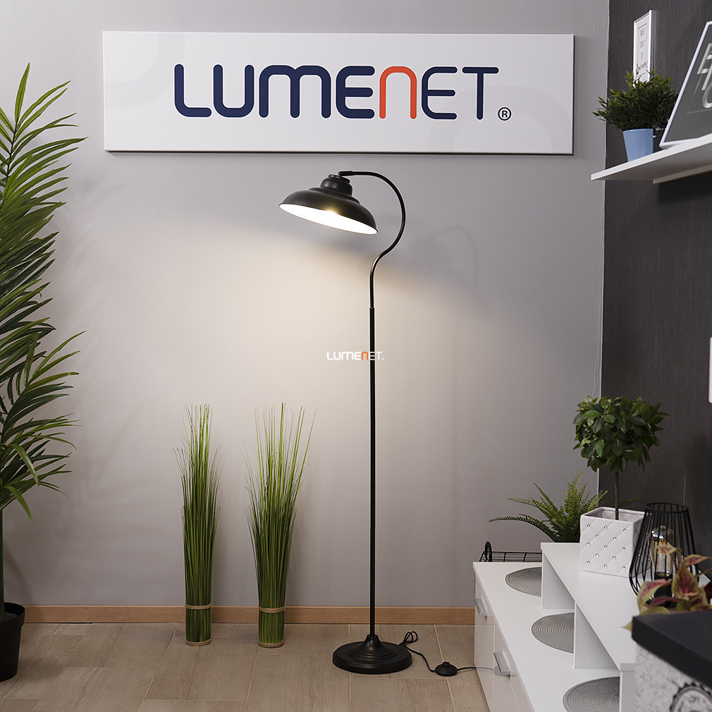Loft állólámpa fekete színben, 160 cm - Dragan Rábalux 5310, zsinórkapcsoló, 1xE27 foglalattal