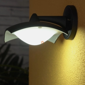   LED-es kültéri lámpa, falra szerelhető, fekete, 8W, IP44, lefelé álló, nyitott - Roby deLux DEL1491