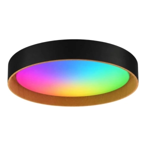   Szabályozható mennyezeti LED lámpa+RGB fekete kerek falon kívüli 24W 2760lm 3000/4000/6500K - Forest deLux DEL1893