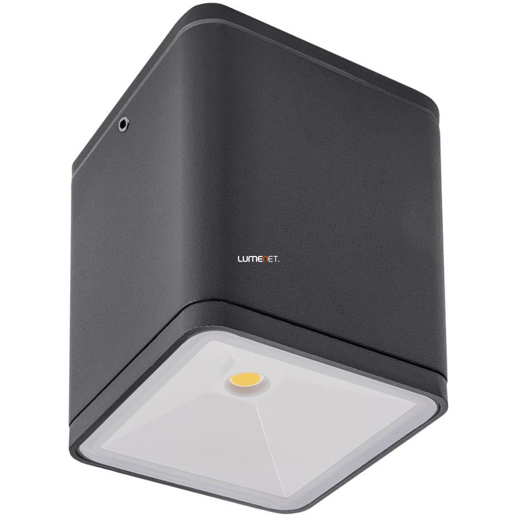 Kültéri mennyezeti LED lámpa 6 W, hidegfehér, szürke színű - Beta Redo 9199