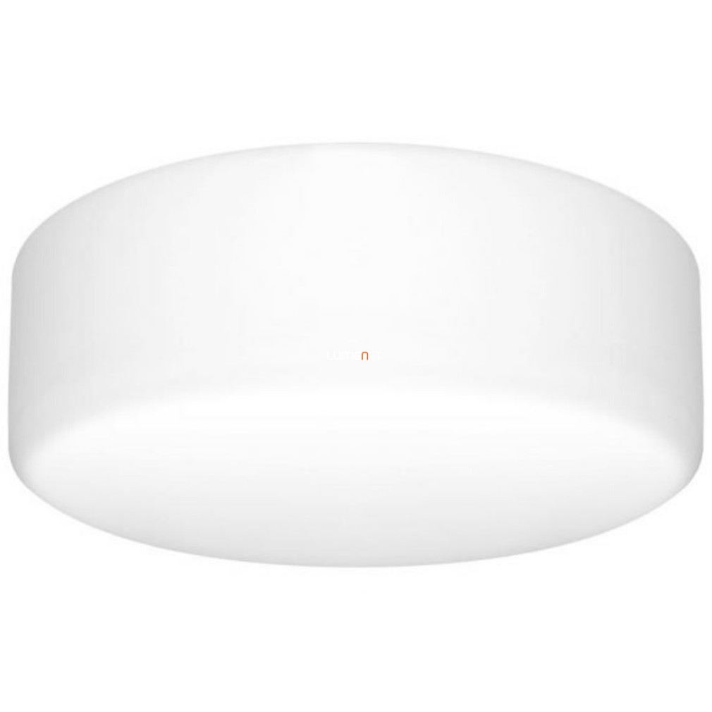 Fürdőszobai mennyezeti lámpa, 25 cm, fehér színű - Blank Prezent 45121