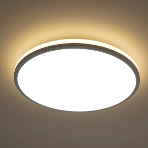   Philips kapcsolóval szabályozható mennyezeti LED lámpa, hidegfehér, 18 W, fehér (Ozziet)