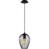 Függesztett lámpa, 16 cm, fekete - Newtown Eglo 49477