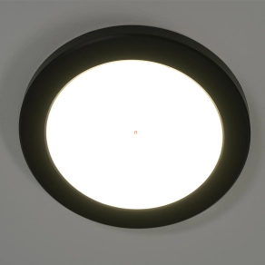   Szabályozható mennyezeti LED lámpa, hidegfehér/melegfehér, 22 cm - Lasse Globo 12379-18B