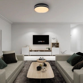   Távirányítós mennyezeti LED lámpa 24 W, hideg-melegfehér - Manni Globo 41759-24