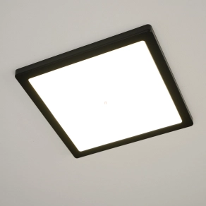   Szabályozható mennyezeti LED lámpa, hidegfehér/melegfehér, 29,1x29,1 cm - Lasse Globo 12380-24B