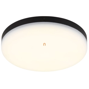   Mennyezeti LED lámpa fekete színben, 22 cm - Matthew Globo 12387-18