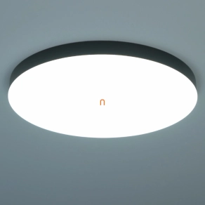   Szabályozható mennyezeti LED lámpa fekete színben, 50 cm - Matthew Globo 12384-50