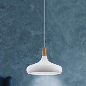   Függesztett lámpa, 40 cm - Sabinar Eglo 901179, 1xE27 foglalattal, 220-240 V
